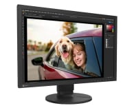 EIZO ColorEdge CS2400R ColorNavigator - 1166519 - zdjęcie 4